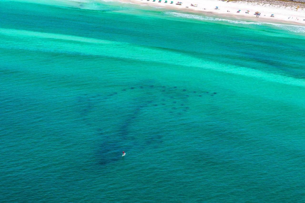Ariel Dunes I 1605 Διαμέρισμα Ντέστιν Εξωτερικό φωτογραφία